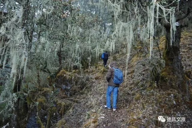 景点推荐 | 德昌爬山攻略来啦，这5座山风景绝佳！