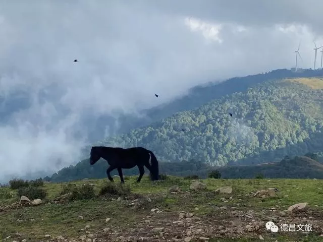 景点推荐 | 德昌爬山攻略来啦，这5座山风景绝佳！