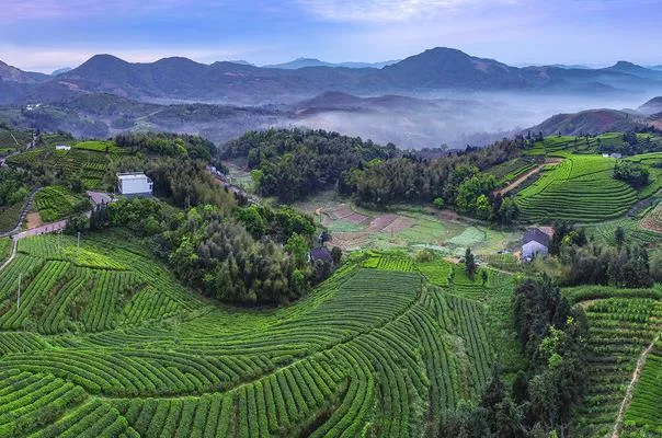 温州苍南秋季登高景点推荐