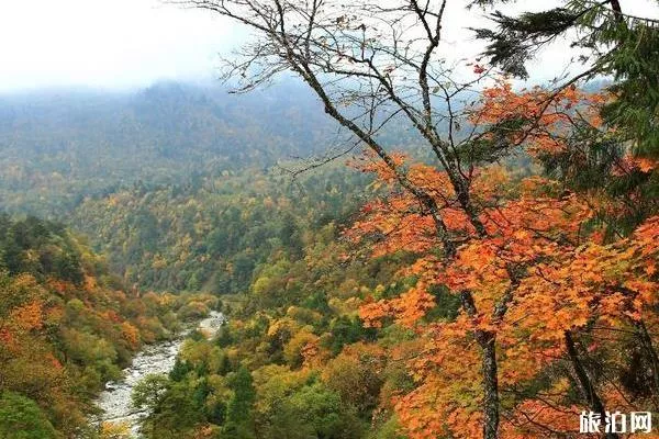 雅安周边旅游景点大全