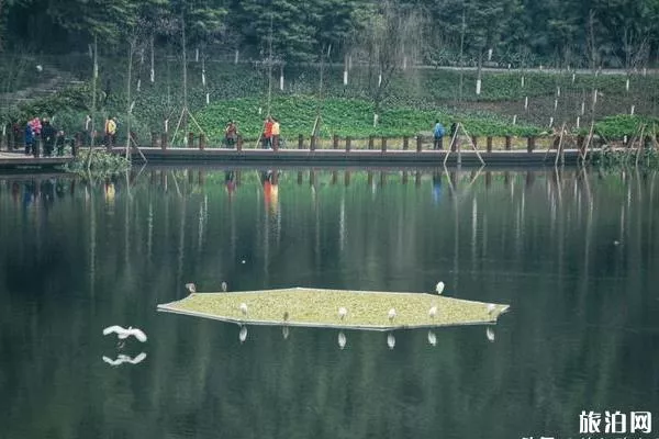 重庆彩云湖湿地公园可以钓鱼吗