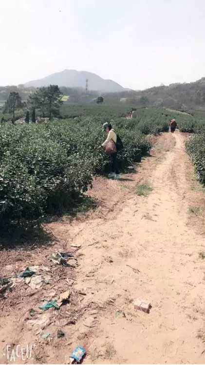 镇江的自然风光高清美图欣赏