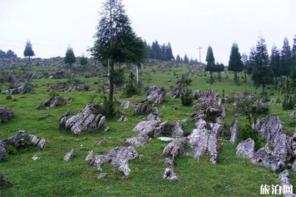 重庆千野草场简介 在哪里-游玩攻略