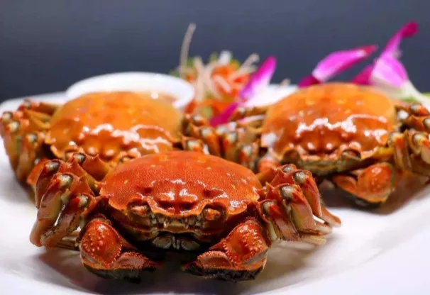 2020重庆哪里的大闸蟹好吃-多少钱一斤