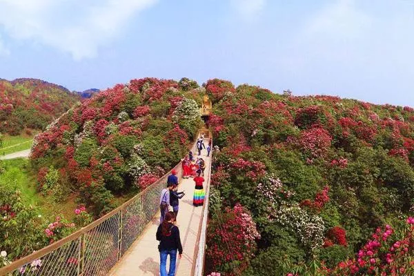 毕节市旅游景点有哪些 毕节旅游好去处