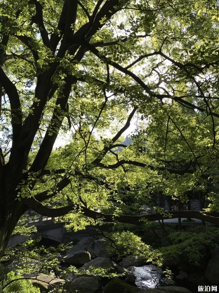 庐山旅游攻略一日游