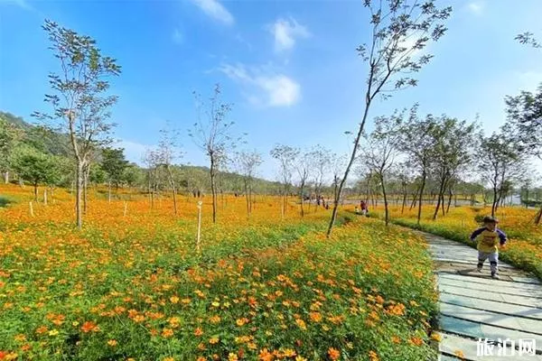 <a href='/foshan/' target=_blank>佛山</a>西樵环山花海要门票吗 附赏花指南