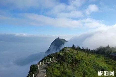 峨眉山上有哪些好吃的值得推荐