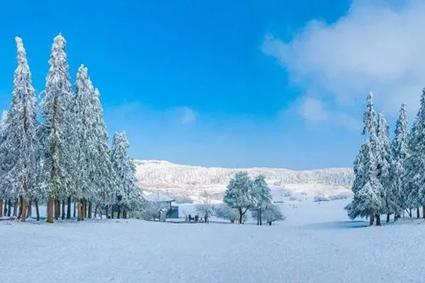 2021重庆仙女山看雪最佳时间 仙女山看雪攻略