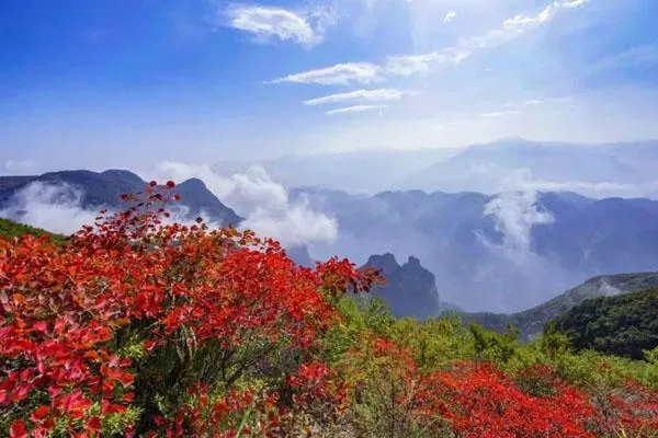 2021巫山神女景区赏红叶一日游旅游线路