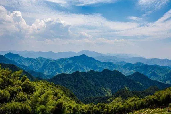 杭州超山爬山要门票吗-秋季爬山攻略