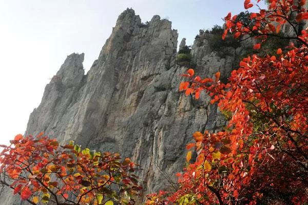 巫山红叶最佳观赏地点及路线推荐