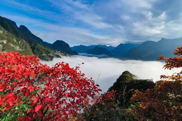 巫山红叶最佳观赏地点及路线推荐