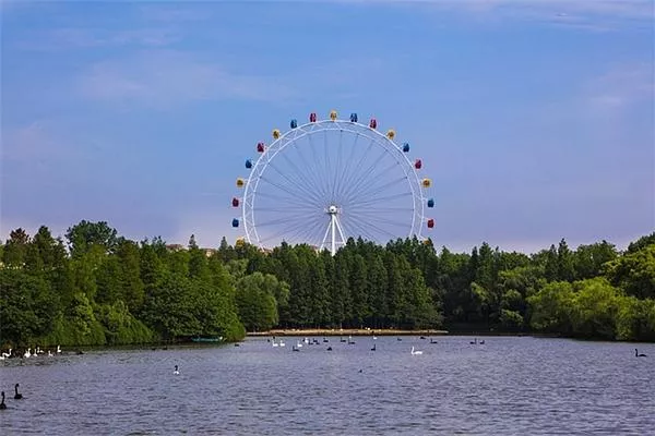 上海野生动物园购票指南及游玩攻略