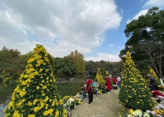 2021杭州菊花展是什么时间-门票价格