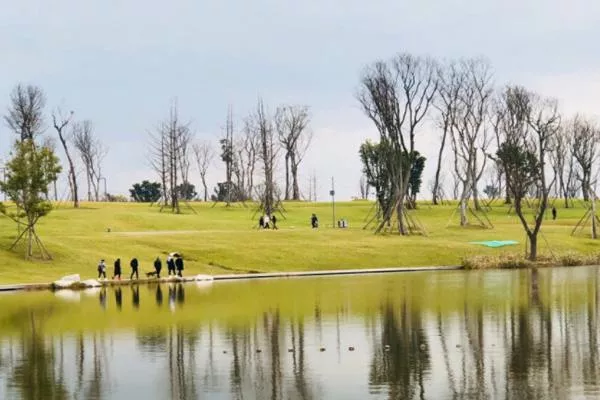 成都兴隆湖湿地公园有什么好玩的 成都兴隆湖可以露营吗