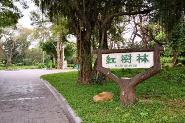 深圳有几个红树林公园 深圳红树林<a href='/jingdian/' target=_blank>景点</a>推荐