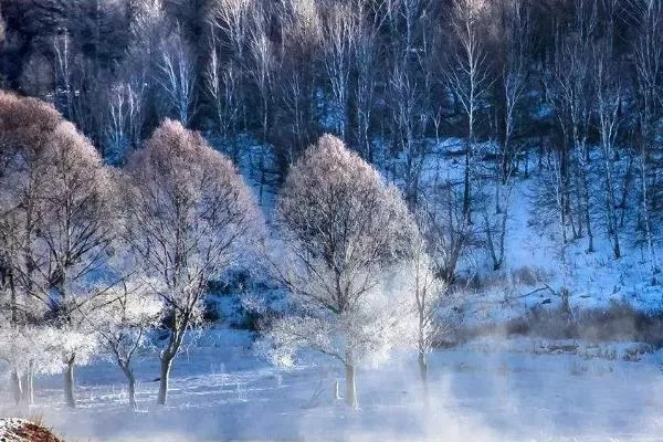冬季阿尔山旅游特色 这些景点冬天必打卡