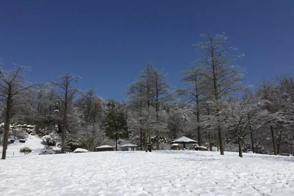 宁波奉化滑雪场在哪里怎么走