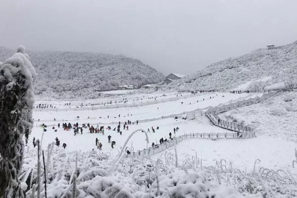 2021重庆金佛山滑雪场最新门票价格