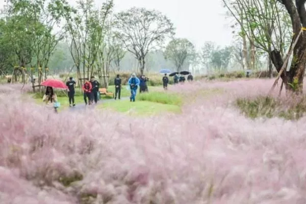 重庆广阳岛景点预约及游玩攻略