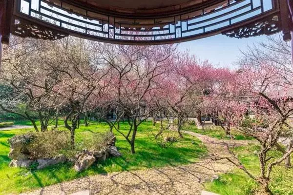 南京古林公园有什么好玩的 景点介绍一览