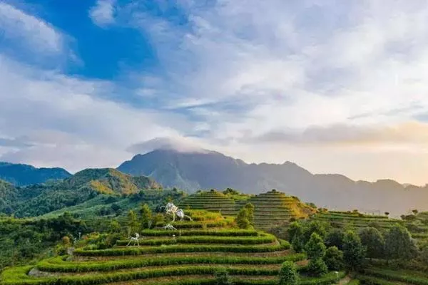 漳州踏青好去处 六大春季旅游景点