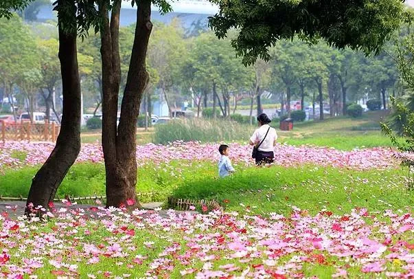 厦门四月赏花去处 有哪些可以看花的地方