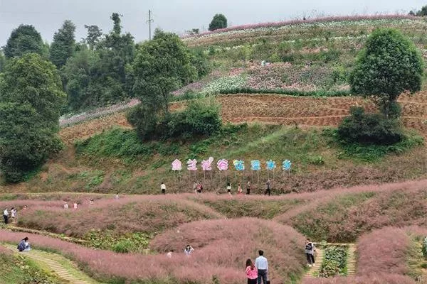 宜宾游玩的地方有哪些 游玩路线推荐