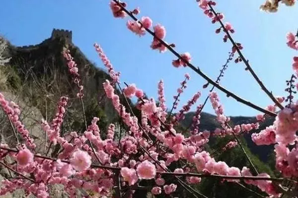 北京周边五一旅游推荐