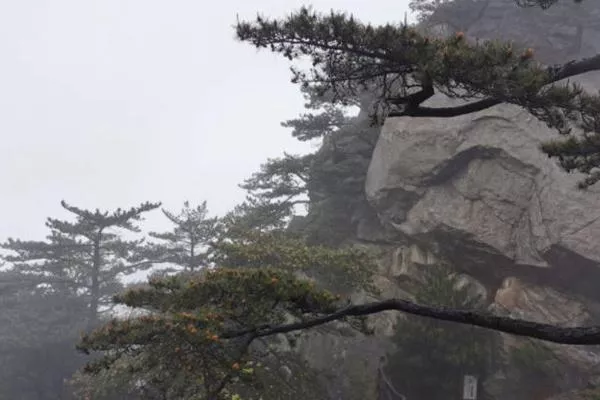 麻城龟峰山赏杜鹃花最佳线路