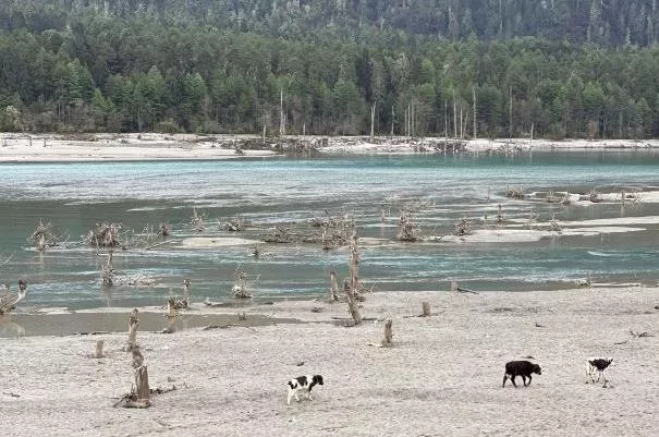 西藏最好露营地方 露营地点推荐