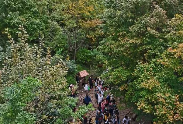 哈尔滨周边自驾游去哪里好玩 景点推荐