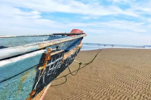 大连可以赶海的地方在哪 十大赶海圣地推荐