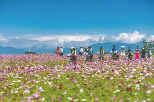 成都5月赏花的地方有哪些