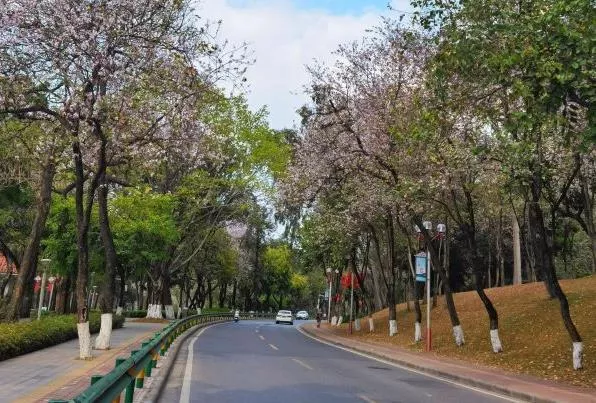 广州免费旅游景点推荐