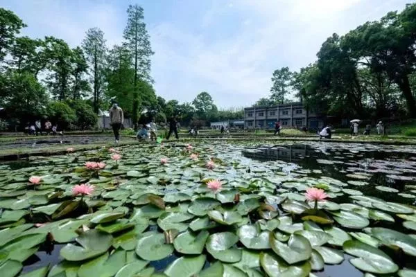 武汉东湖亲子游玩攻略一日游