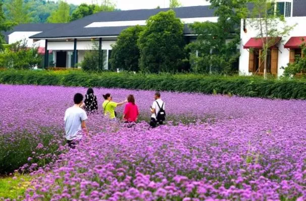 重庆五月适合去哪里旅游