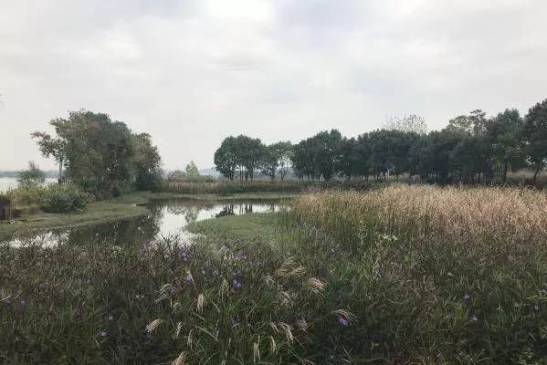 武
汉有爬山的地方吗 爬山去哪里比较好