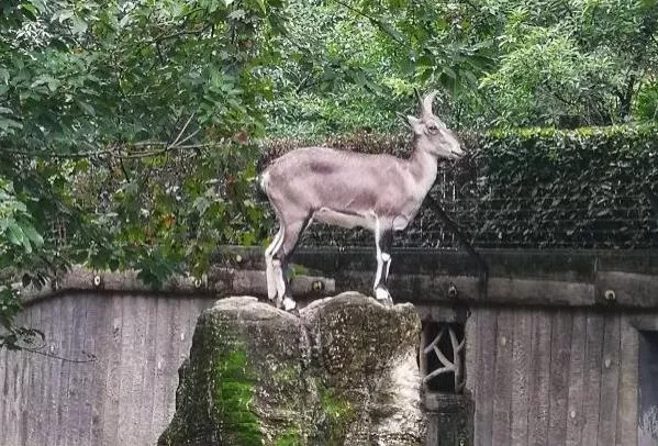 成都热门打卡地 旅游景点推荐