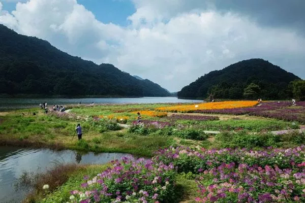 南宁公园景点推荐 有哪些值得去