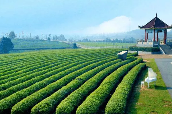 南昌适合夏天玩的地方有哪些 避暑旅游景点推荐