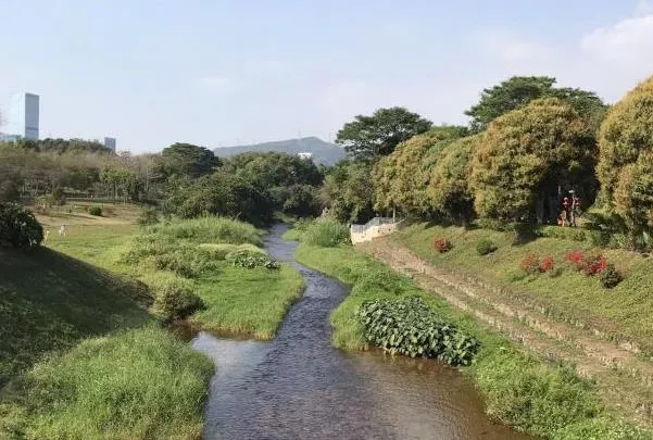 深圳小众景点推荐 人少景美的绝美景点