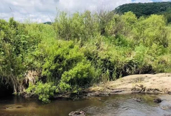 夏天国内适合自驾游的线路推荐