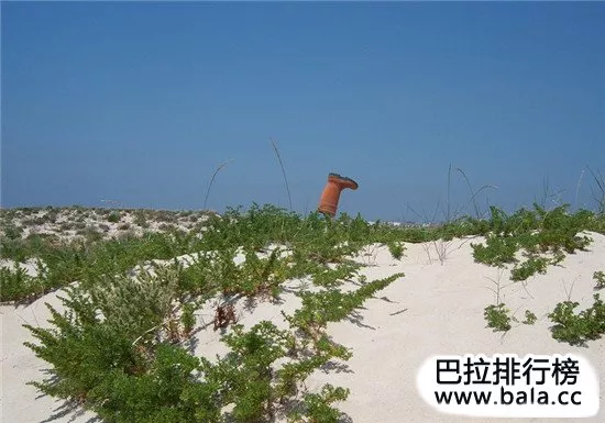 盘点全球10大沙漠绿洲