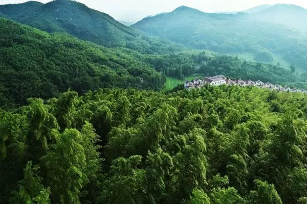 洛阳王府竹海好玩吗 有哪些旅游景点