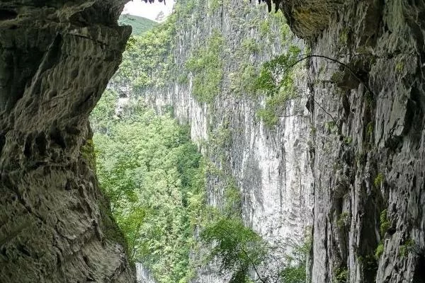 广西大石围天坑群景区在哪里