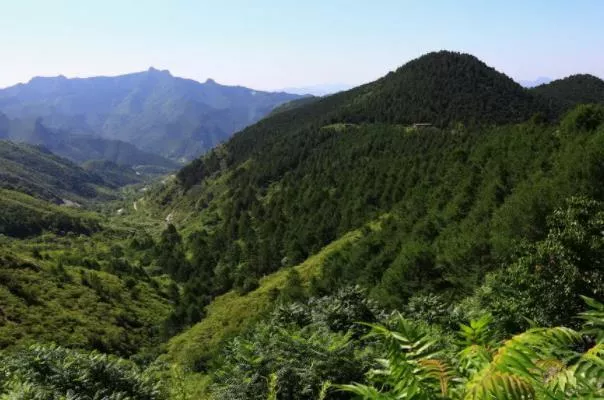 北京郊区看星星的地方有哪些 观星地点推荐