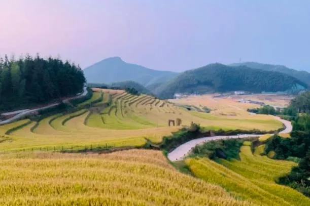 江西秋天适合去什么地方旅游