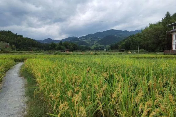 湘西有什么好玩的地方景点推荐